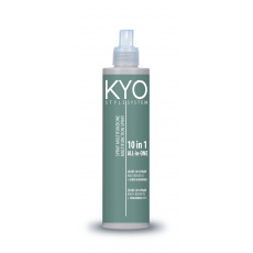 FreeLimix KYO Mask StyleSystem 10v1 250 ml