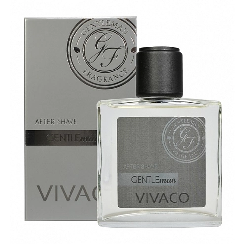VIVACO Voda po holení GENTLEMAN SILVER EDITION 100 ml