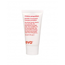 EVO Mane Attention Protein Treatment 30ml