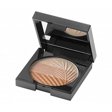 Matt Bronzing Powder