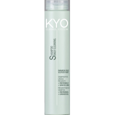 FreeLimix KYO Shampoo DailyCleaning 250ml