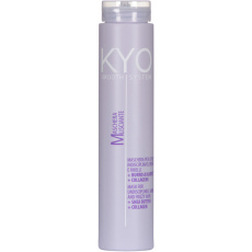 FreeLimix KYO Mask SmoothSystem 250ml