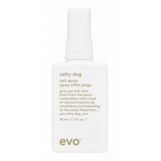 EVO - Salty Dog Salt Spray 50ml