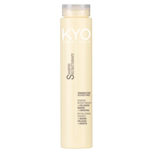 FreeLimix KYO Shampoo RestructSystem 250ml FreeLimix KYO Shampoo RestructSystem 250ml
